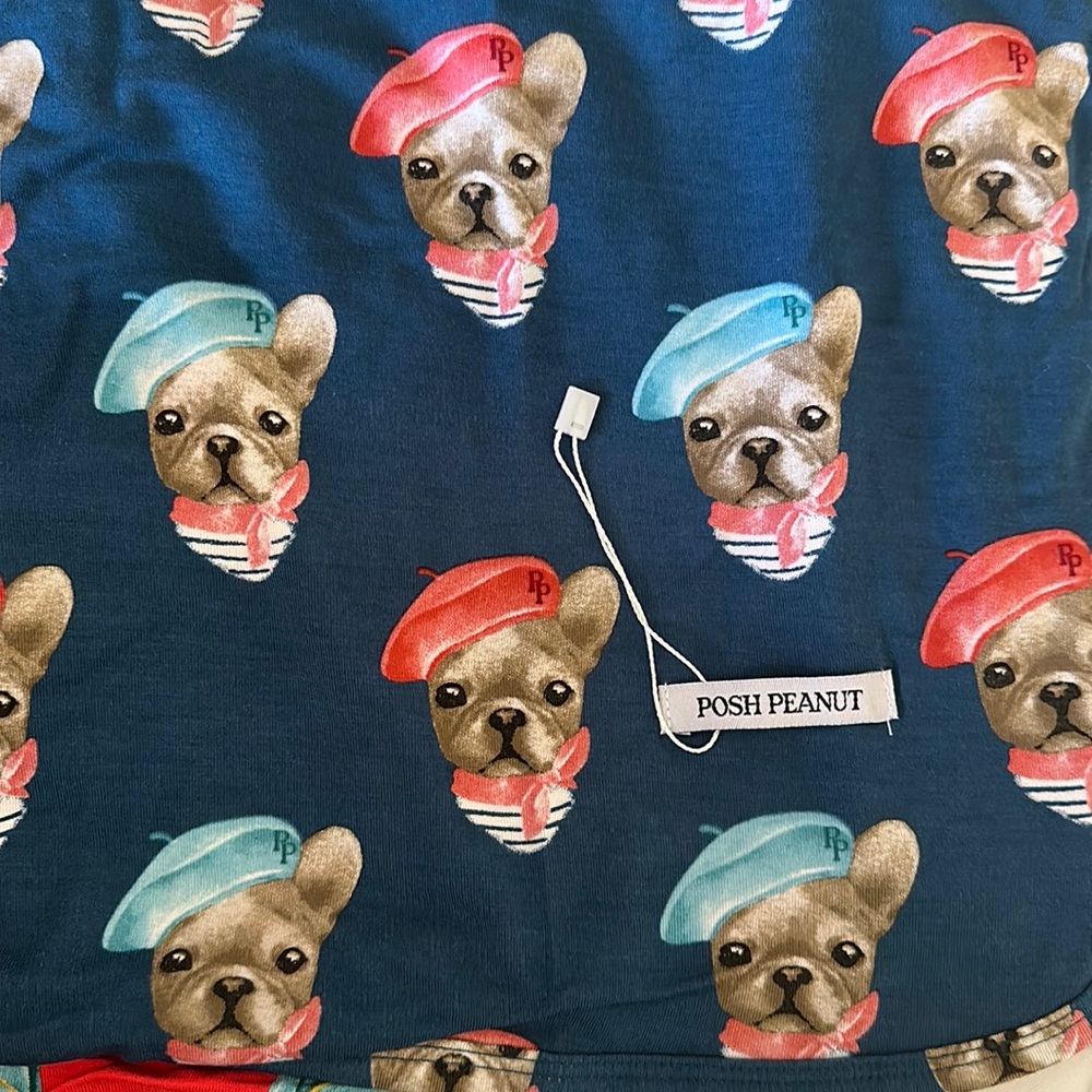 Posh peanut French fry and French bull dog Patoo reversible baby blanket